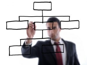 Organization and Management