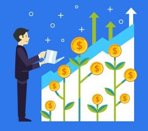 Virtual CFO, Fractional CFO